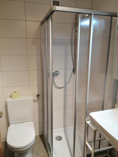 ein Bad mit einem WC und einer Dusche in der Unterkunft Ferienwohnung Jenny in Schruns-Tschagguns