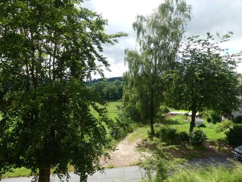 una vista de un campo con árboles y una carretera en Fewo Im gruenen Eck 2 en Airlenbach