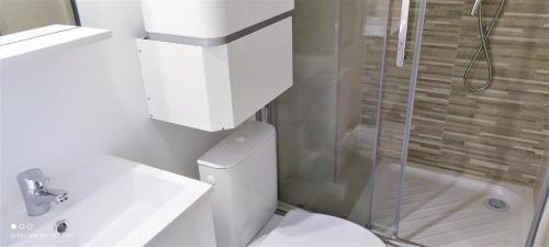 une salle de bain blanche avec toilettes et douche dans l'établissement Dana centre mer 23, à Nice