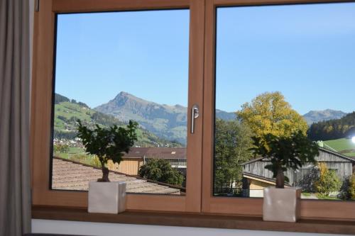 a window with two potted trees on a window sill at Apartment Brandstätter 1 & 2 by Apartment Managers in Brixen im Thale