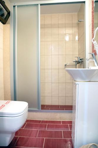 a bathroom with a shower and a toilet and a sink at Trapela Areopolis, Boutique Hotel in Areopolis