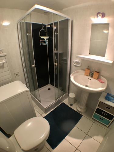 La salle de bains est pourvue d'une douche, de toilettes et d'un lavabo. dans l'établissement Maison T2, 4 étoiles, lac de Christus, à Saint-Paul-lès-Dax