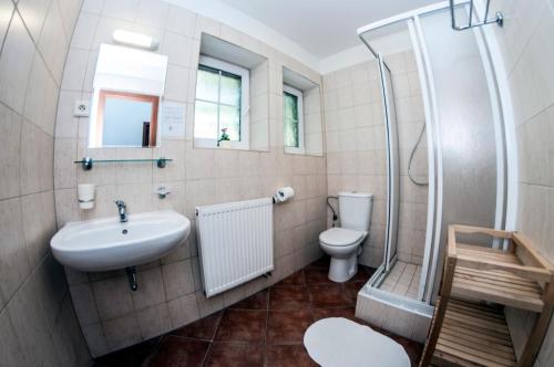 a bathroom with a sink and a toilet and a shower at Svycarska Bouda in Špindlerův Mlýn