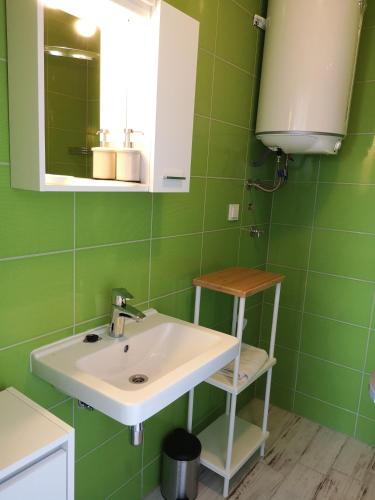 a green bathroom with a sink and a mirror at Apartmani Mentha & Lipa in Novi Vinodolski