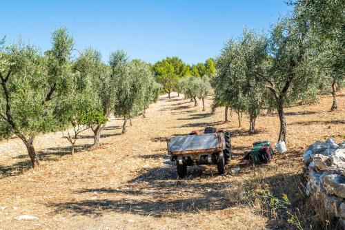 an old truck parked in a field with trees at Casa Colletta Vieste in Vieste