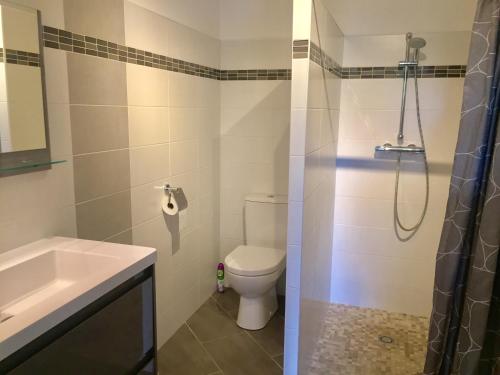 une salle de bain avec toilettes, douche et lavabo dans l'établissement CASA CRISTINA Charmant Appartement CALME ENTRE MER ET MONTAGNE, à Santa-Lucia-di-Tallano