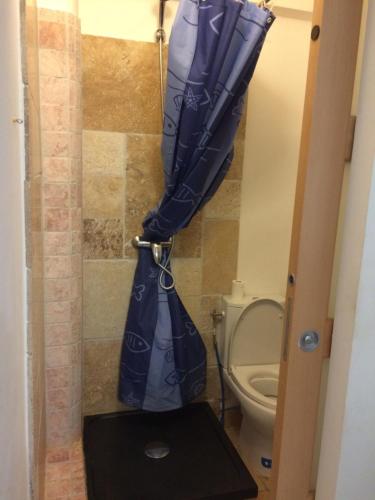 - un rideau de douche bleu dans la salle de bains pourvue de toilettes dans l'établissement studio cavalaire/mer proche de ST tropez, à Cavalaire-sur-Mer
