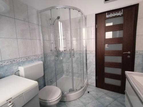 ein Bad mit einer Dusche, einem WC und einem Waschbecken in der Unterkunft Tincha in Piran