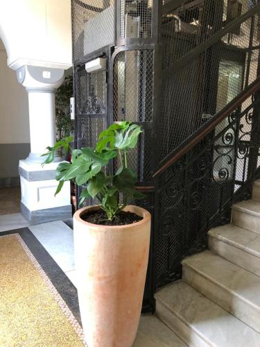a plant in a large pot next to a staircase at Hotel Cimarosa in Naples