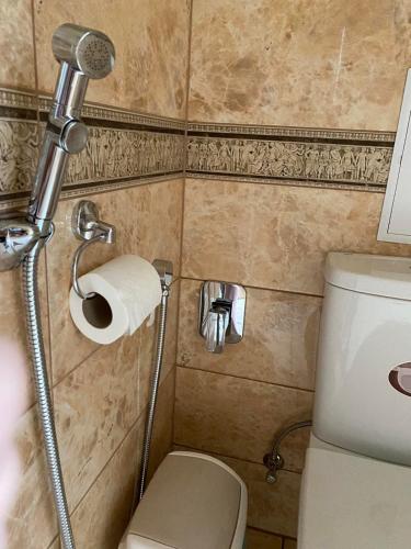 a bathroom with a toilet and a roll of toilet paper at DALIM in Duliby