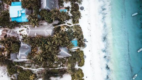 an overhead view of a beach with palm trees and the ocean at The Seles Boutique Hotel in Matemwe