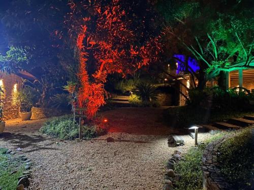 a tree in front of a house at night at Pousada Boutique Itaipava in Itaipava