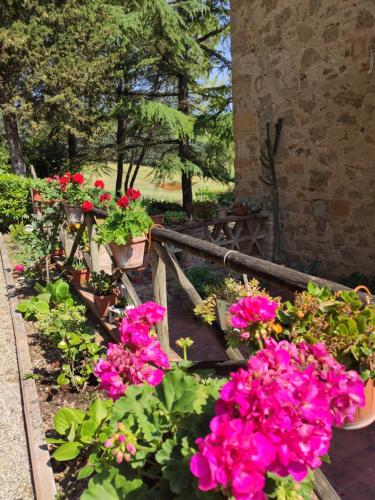 a garden with pink flowers in potted plants at Antico Podere Il Bugnolo in Poggibonsi