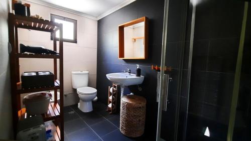 a bathroom with a sink and a toilet and a shower at Casa do Compadre - Casas de Taipa in São Pedro do Corval