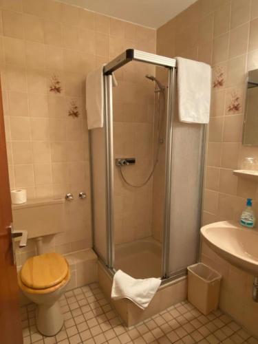 Un baño con ducha, inodoro y lavabo. en Hotel -Pension-Weller, en Mühlheim am Main