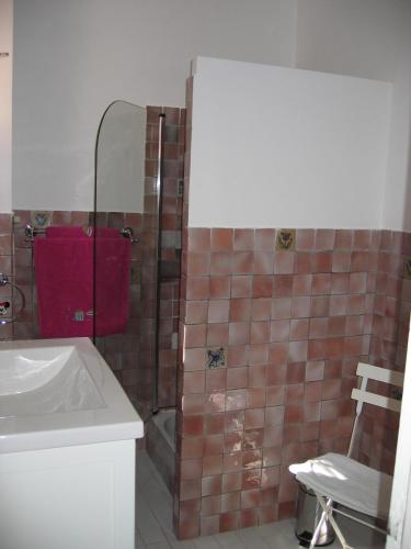 une salle de bain avec un lavabo et une douche dans l'établissement Maison Proche d'Aix-en-Provence, à Peynier
