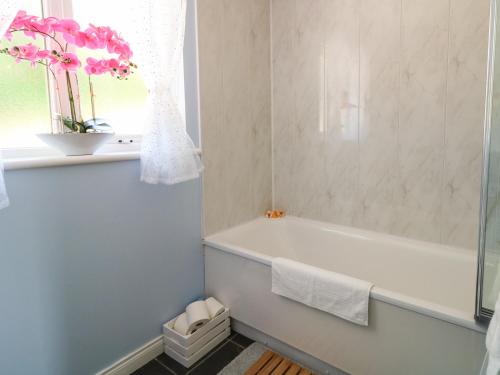 a bathroom with a bath tub and a window with a plant at Slieve Gallion Cottage in Magherafelt