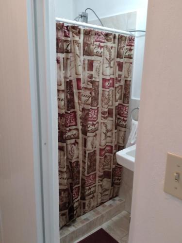 een badkamer met een douchegordijn en een wastafel bij Mitch Apt in Jobos