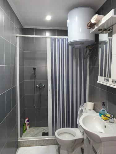 La salle de bains est pourvue d'une douche, de toilettes et d'un lavabo. dans l'établissement Apartman Joja, à Bar