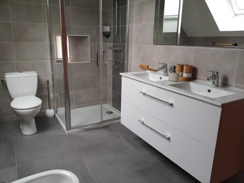 a bathroom with a toilet and a sink and a shower at "La MAISON DE DANA" ENTRE ST MALO & MT ST MICHEL avec Piscine privative in Epiniac