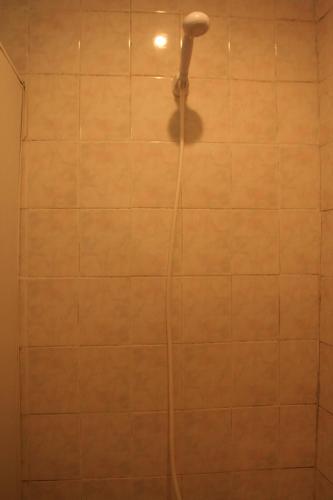a shower with a shower head on a tiled wall at Guest House Nazy in Stepantsminda