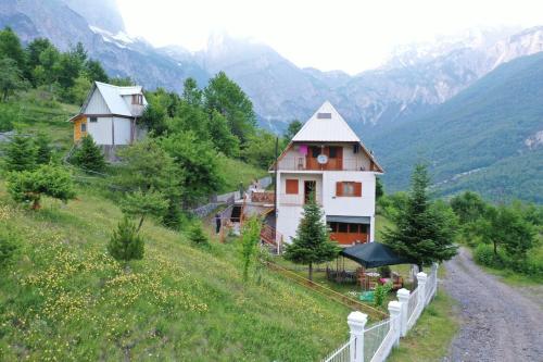 una casa en una colina al lado de una carretera en Alpbes Theth Guesthouse, en Shkodër