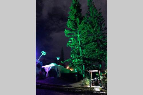 a christmas tree with green lights next to a tent at CHALET SANTORINI in Calima
