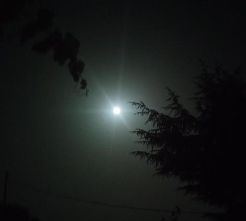 a moon in the sky with a tree in the foreground at Etna, salvia e rosmarino in Maletto