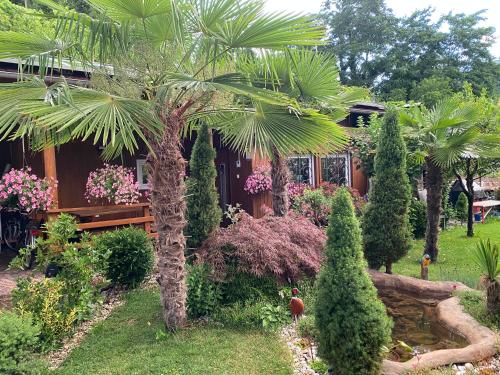a garden with a palm tree in front of a house at Garni San Paolo in Appiano sulla Strada del Vino