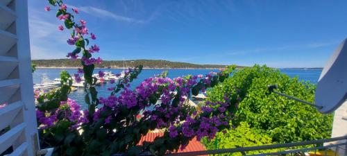 a garden with purple flowers next to a body of water at Kuća Lidija in Rab