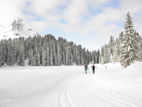 two people on skis in the snow with a mountain at Ferienwohnung Wallner in Wald am Arlberg