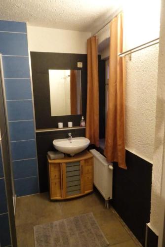 a bathroom with a sink and a mirror at Ferienwohnung zum See in Görlitz