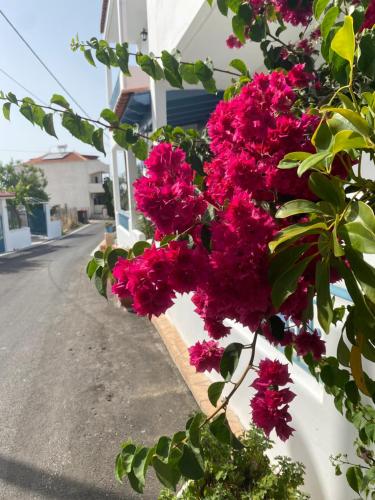 a bunch of pink flowers on a white building at Studio Mare in Megalochori