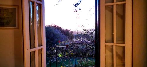 an open window with a view of a garden at La Casa de los Limoneros in Colonia del Sacramento