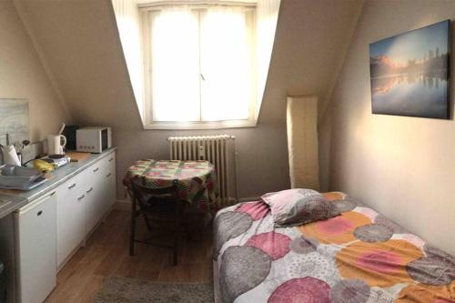 um quarto com uma cama, uma secretária e uma janela em Studio Saint-André em Chambéry