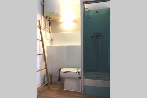 uma casa de banho com um WC e uma cabina de duche em vidro. em Studio Saint-André em Chambéry