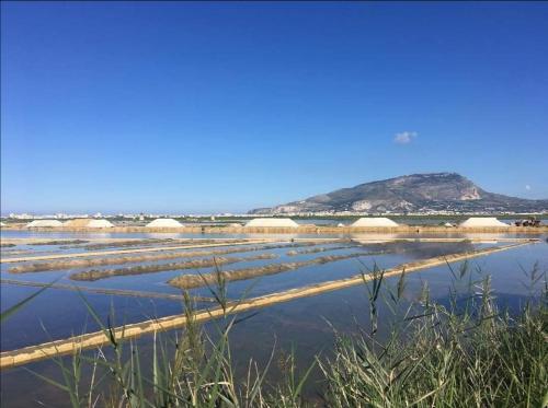 a field of crops with a mountain in the background at B&B 36 Passi dal mare 2.0 in Trapani