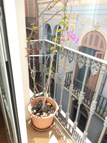 Ein Balkon oder eine Terrasse in der Unterkunft Málaga Centro