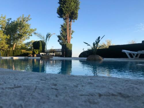 a swimming pool in a yard with a palm tree at Cabañas De Madera Y Bungalows - Gilmañas 3 in La Iruela