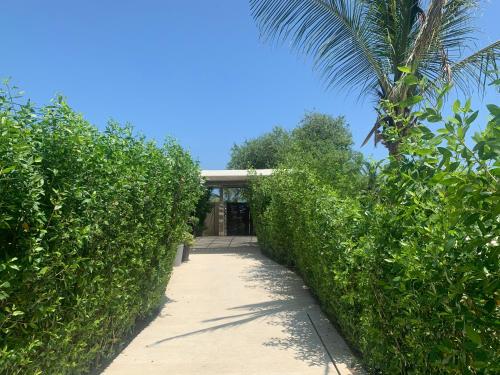 Zahrada ubytování Morros ío Serena Del Mar - RNT 95283-523