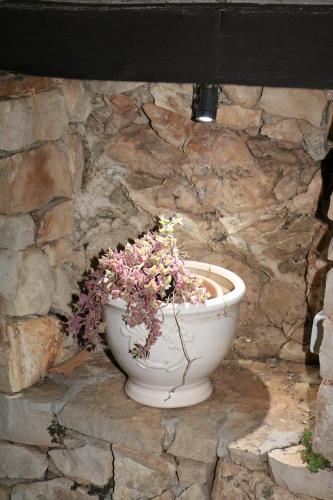 a plant in a pot sitting on a stone wall at Claudia vacanze in Torre Suda