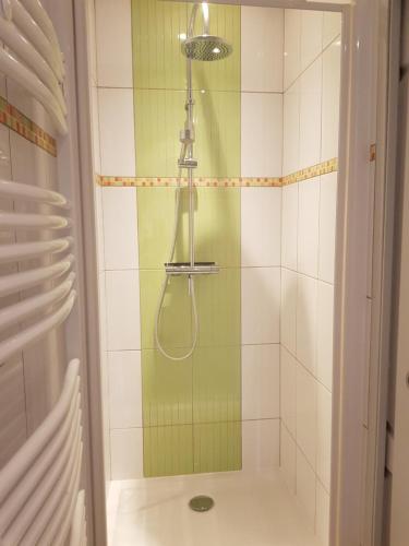 a shower with a shower head in a bathroom at VILLA CHAMPAGNE in Colombey-les-deux-Églises