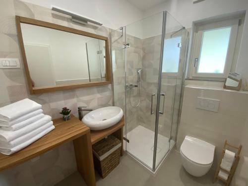 a bathroom with a shower and a sink and a toilet at Apartma pri nani in Kobarid