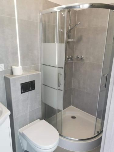 a small bathroom with a shower and a toilet at Reda apartments in Lublin