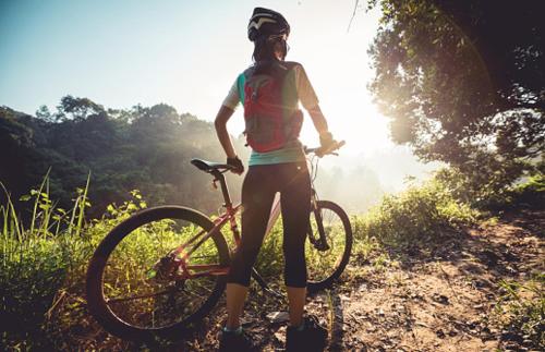 Jazda na bicykli v okolí ubytovania Apartament przy Parku