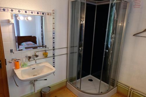 La salle de bains est pourvue d'une douche et d'un lavabo. dans l'établissement Hotel-Restaurant Don Pepe, à Kleinlützel