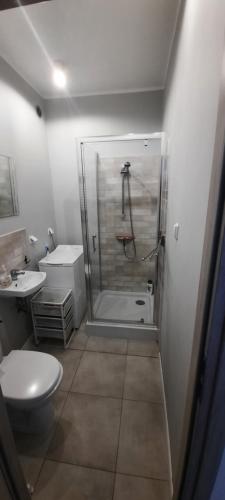 e bagno con doccia, servizi igienici e lavandino. di Hel_sky Apartament a Hel