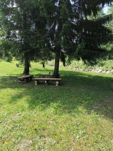 Zahrada ubytování Apartman Anika