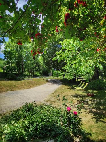 a dirt road with red flowers and trees at Attico Viva in Plitvička Jezera