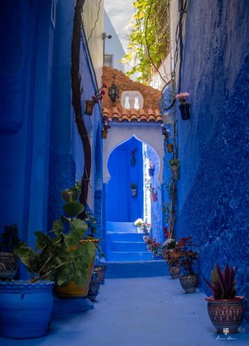 a blue alley with a blue door and some plants at Casa Blue Star in Chefchaouene